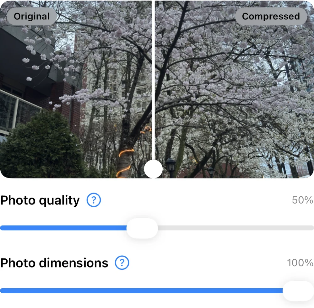 A compression preview with photo quality at 50% and dimensions at 100%