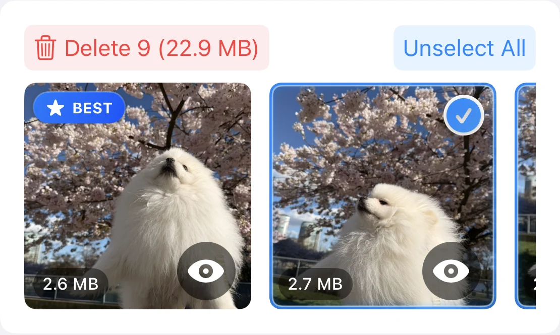 A group of similar photos with a BEST recommendation and a button to delete the selected photos